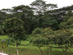 Jalan Bumbong (D25), Semi-Detached #586671781